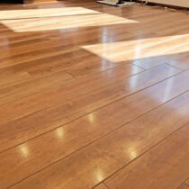 ドッグライフコート