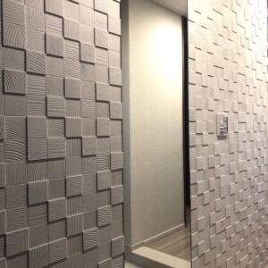 エコカラット+鏡