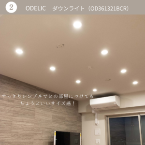 照明(ダウンライト)
