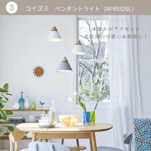 照明(ペンダントライト)